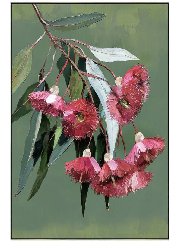 Gum Nut Framed Canvas 80x120cm