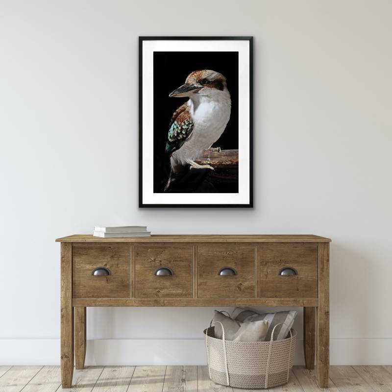 Mystery Kookaburra Artwork Framed W Glass Front 80x120cm 4