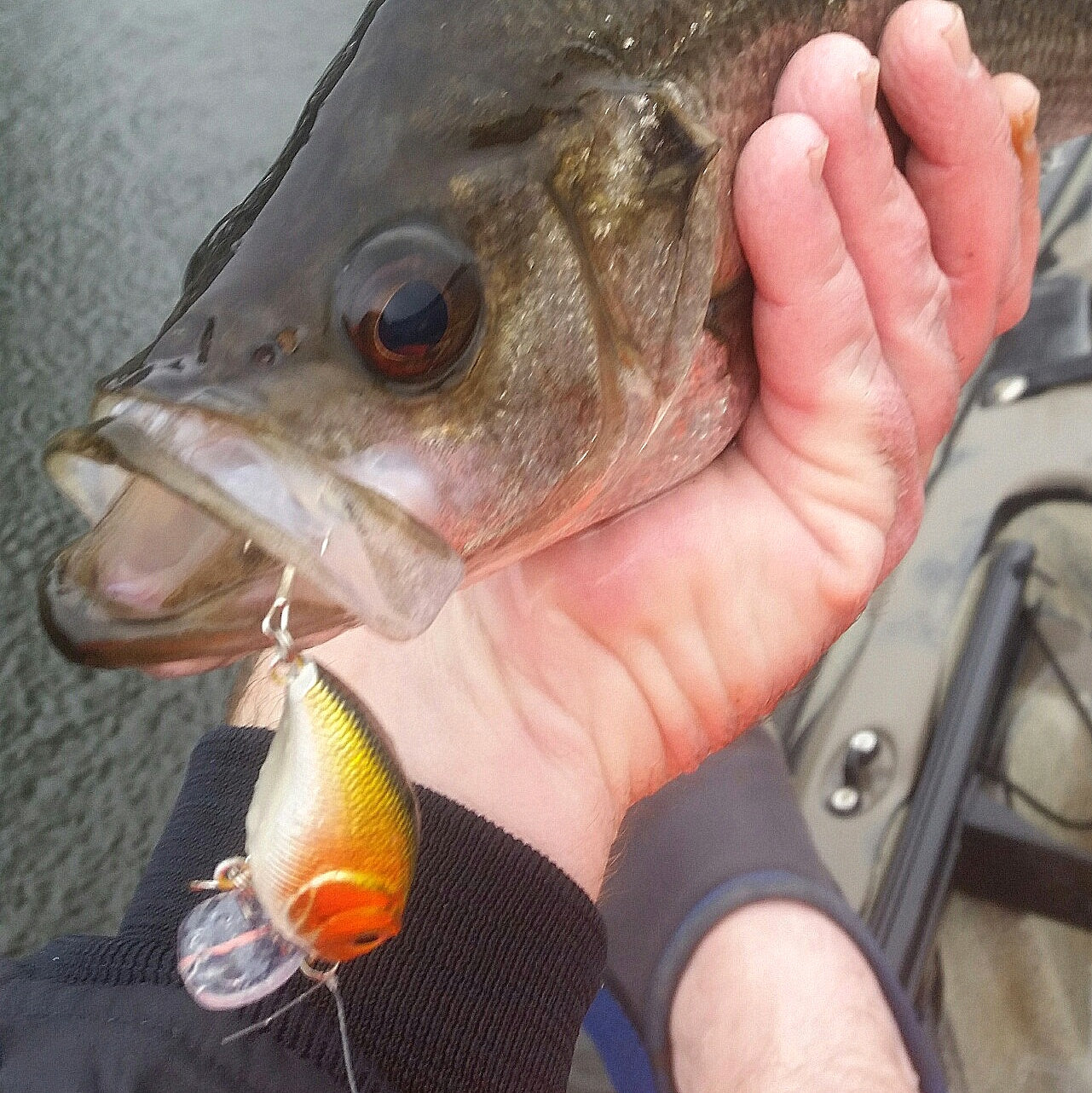 Toppu Mizzu Wakebait, 55mm, Purple Flash 3