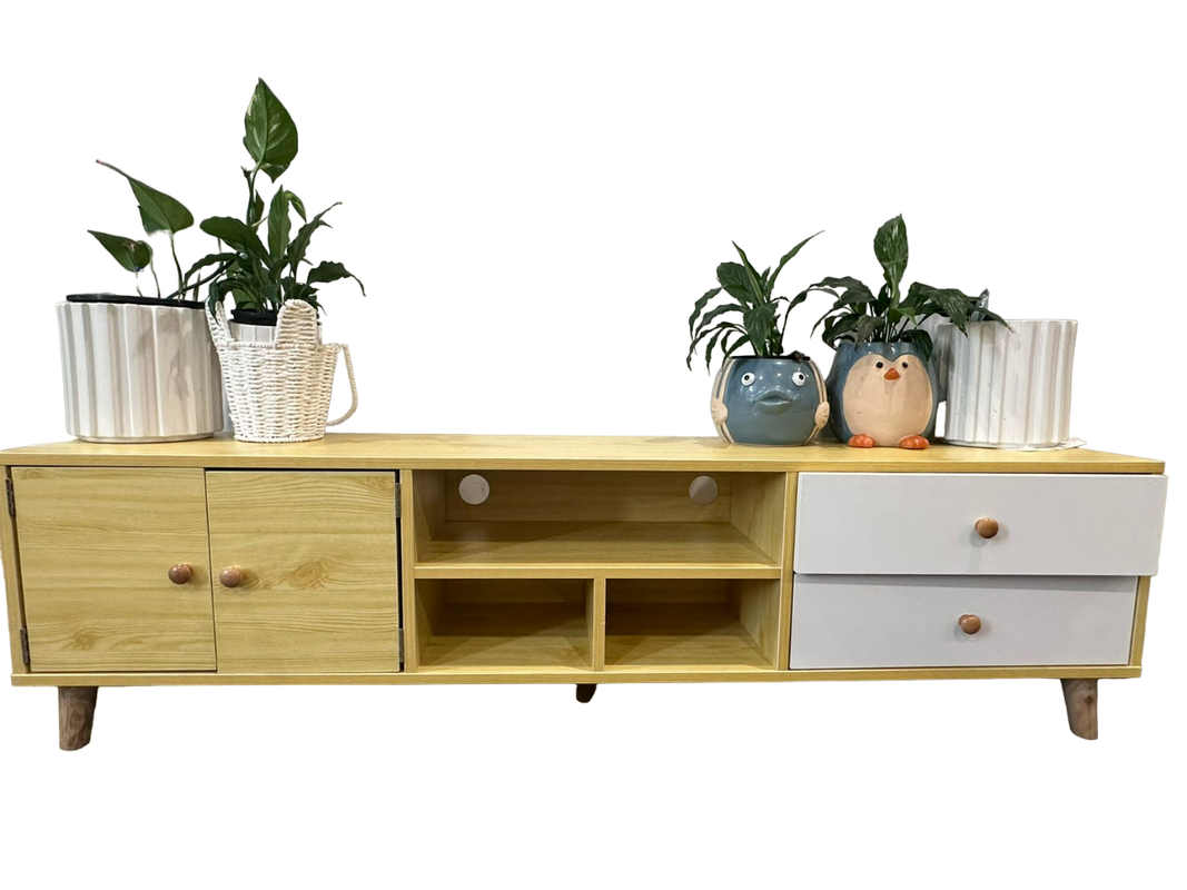 NNECN Two-Doors, Two-Drawers Wooden TV Cabinet 4