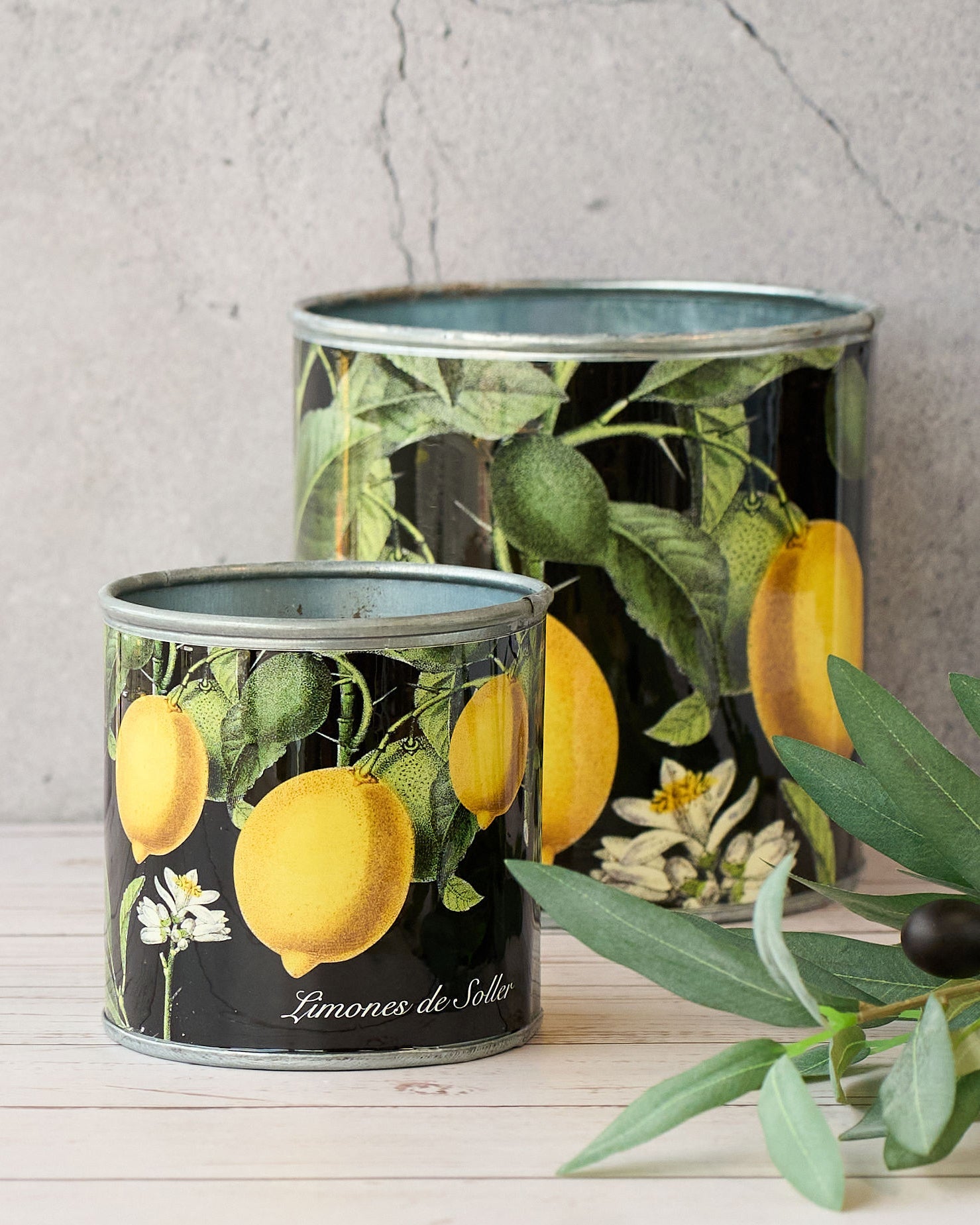 tin-planter-lemons-set-of-4 3