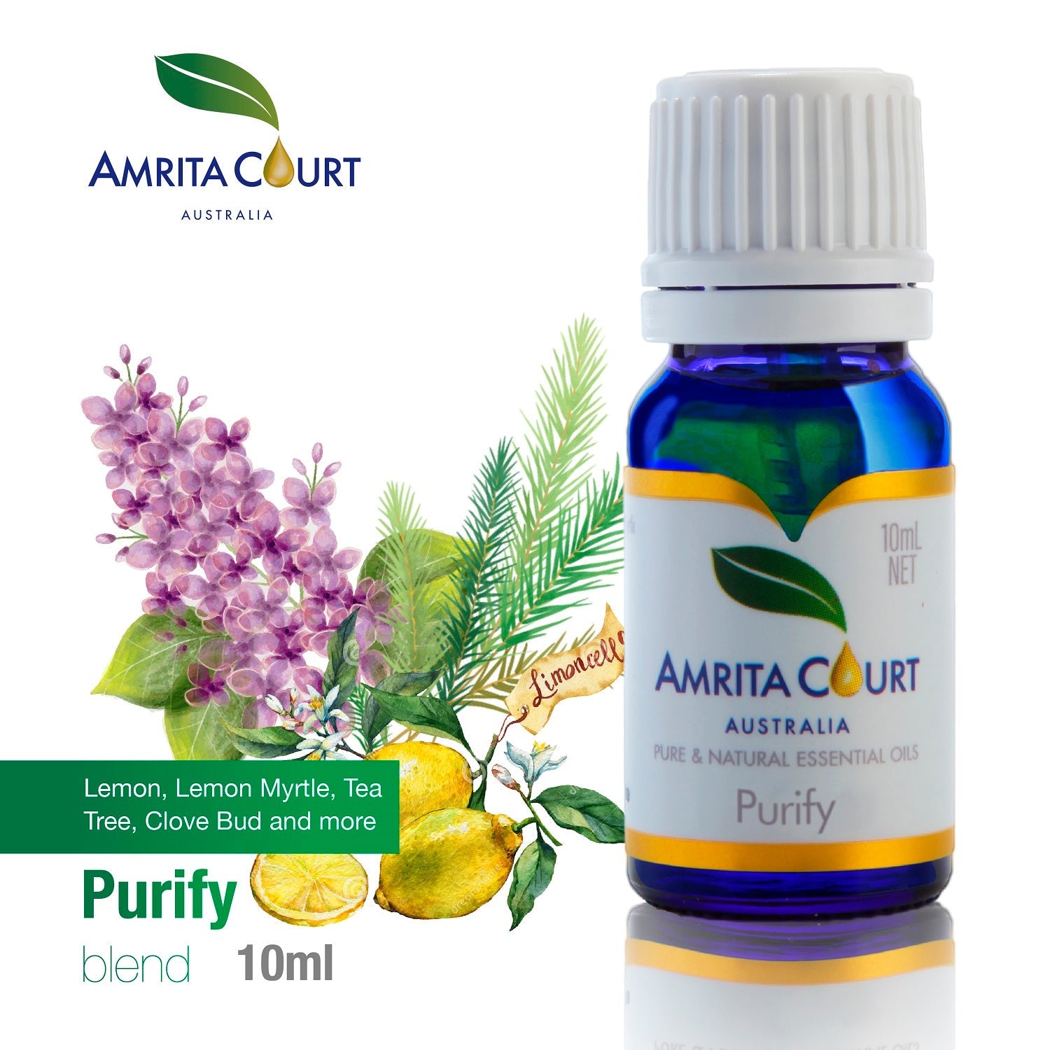 Gift Box - Aroma Necklace 925 Silver, Gold coated - Green Shell Paradise Peach (Pink) + Purify Oil Blend 8