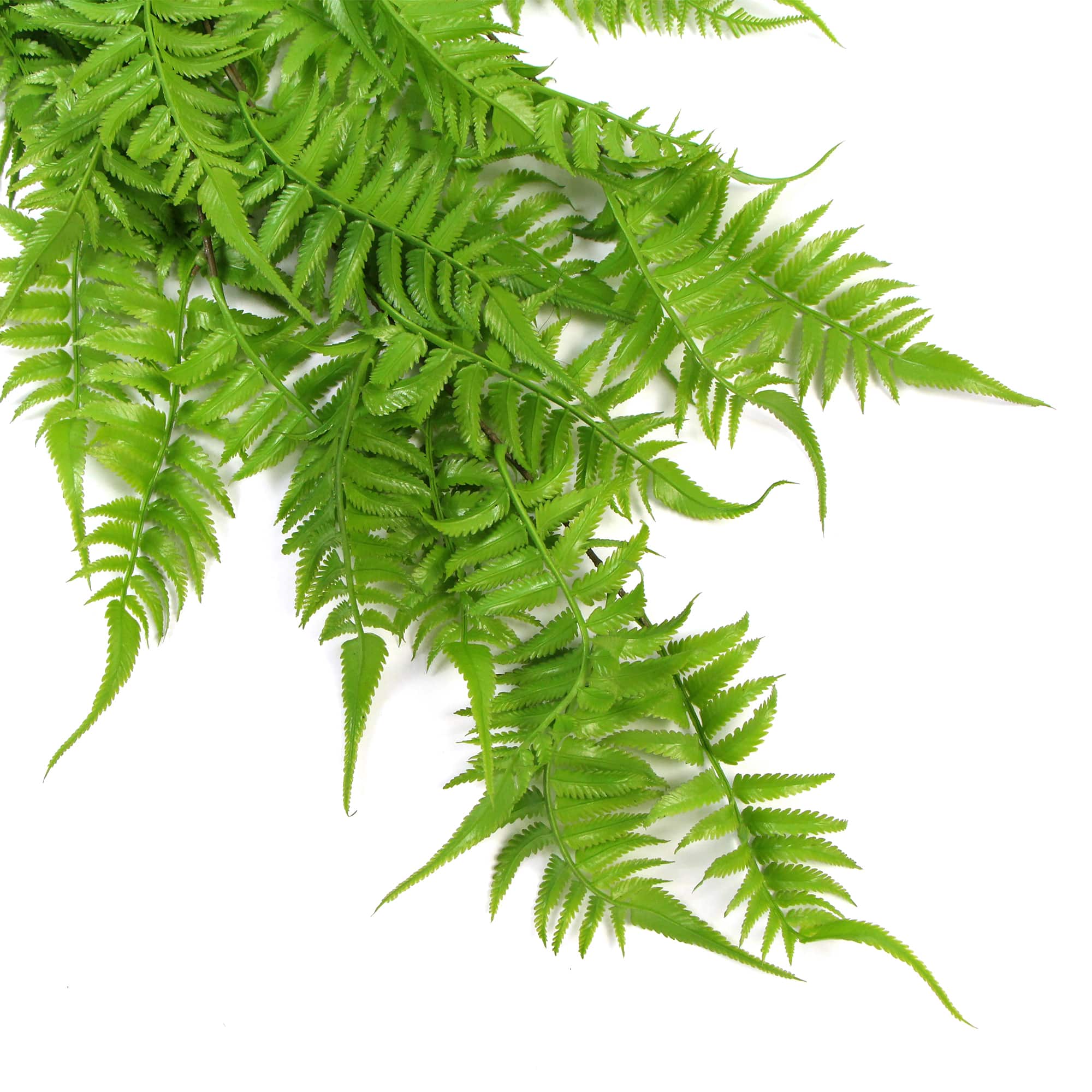 Artificial Hanging English Fern (Two-Tone) Foliage UV Resistant 80cm 7