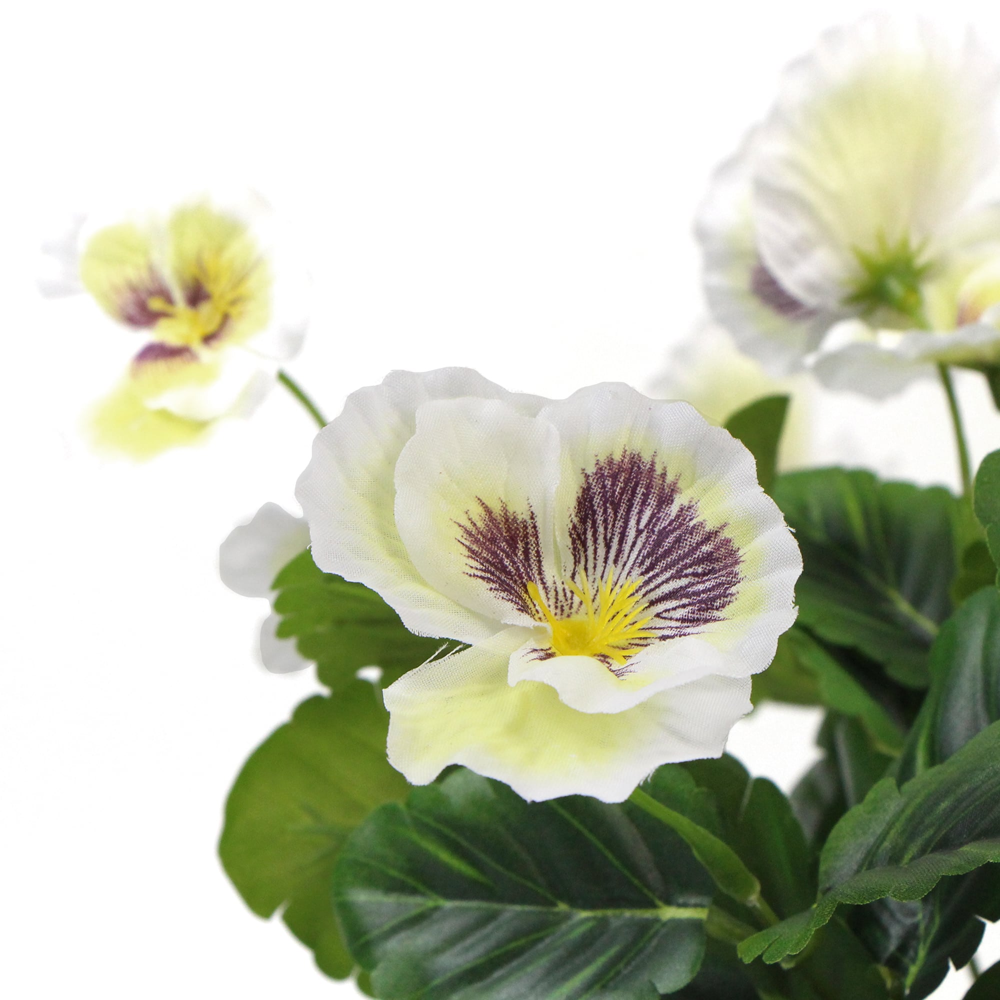 Mixed White Flowering Potted Artificial Pansy Plants 25cm 3