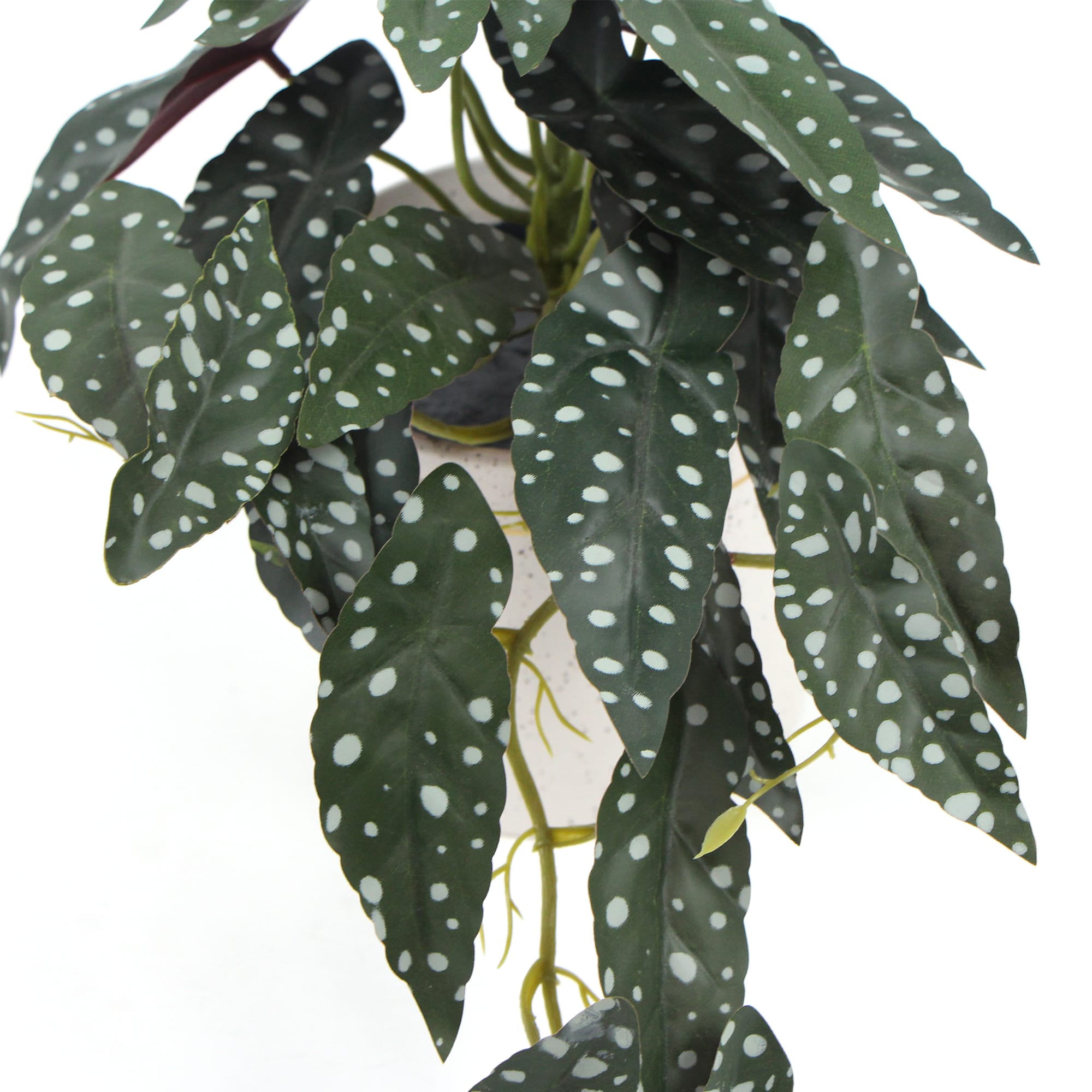 Artificial Bergonia Plant In Decorative Bowl 30cm 3