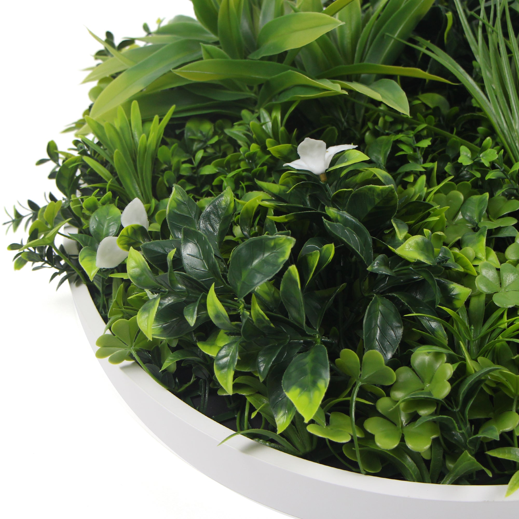 Flowering White Artificial Green Wall Disc UV Resistant 75cm (White Frame) 5