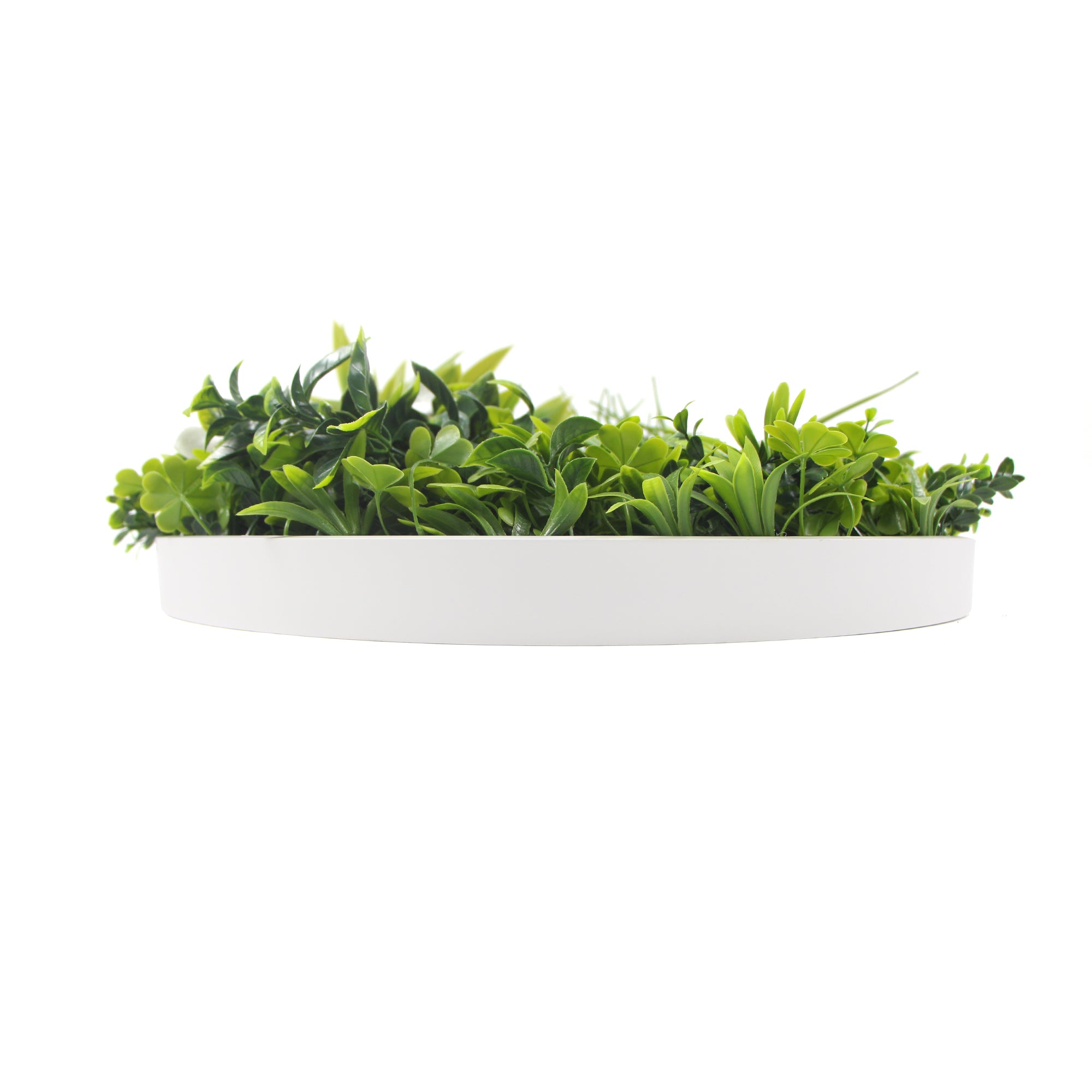 Flowering White Artificial Green Wall Disc UV Resistant 75cm (White Frame) 3