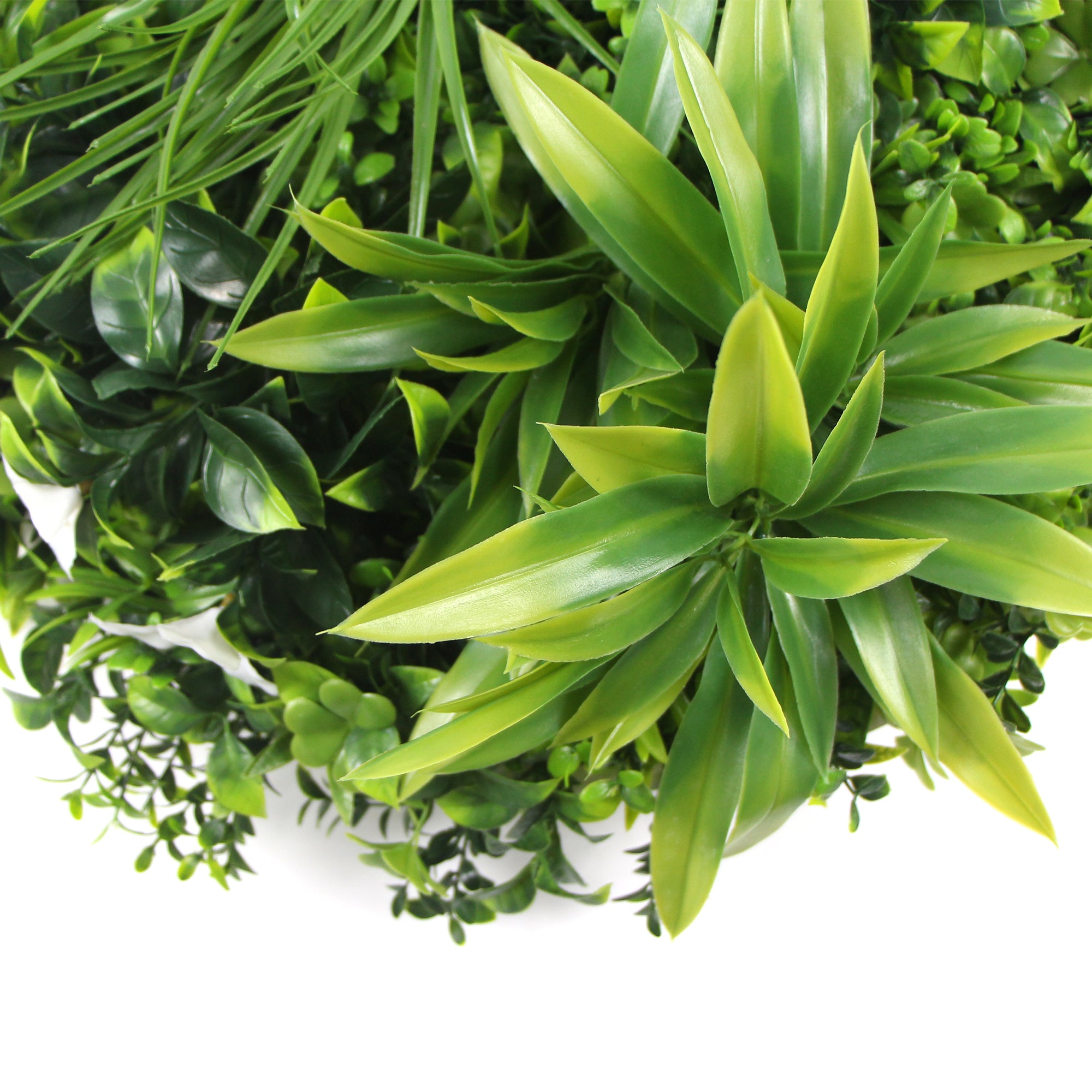 Flowering White Artificial Green Wall Disc UV Resistant 75cm (Black Frame) 5