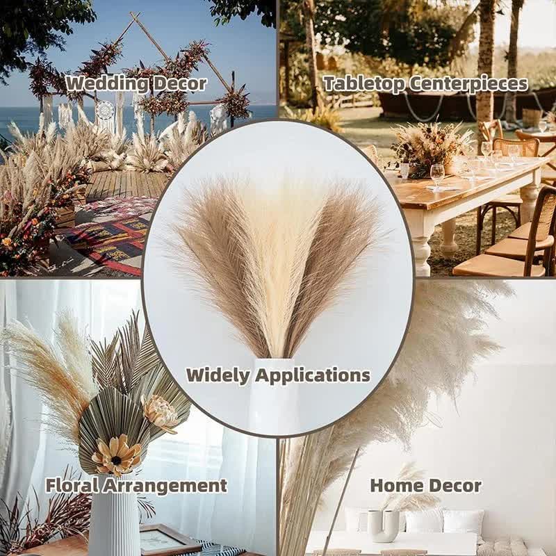 20 sticks Natural Dark Gray Pampas Grass Bouquet-21.65" Fluffy Dried Pampas for Home Decor and Events 3