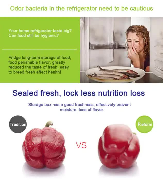 Purple Round Plastic Food Storage Containers Set - Microwave-Safe Bento Boxes with Airtight Lids for Kitchen and Fridge 4