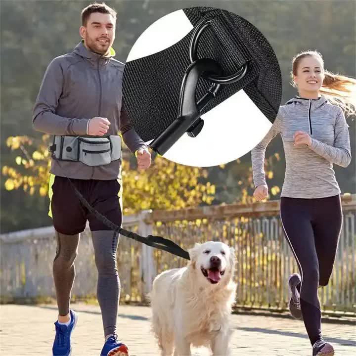 Grey Portable Dog Training Bag - Multi-Function Pet Snack Pouch, Waste Bag Holder, and Training Waist Bag for Dog Walking and Outdoor Adventures 4