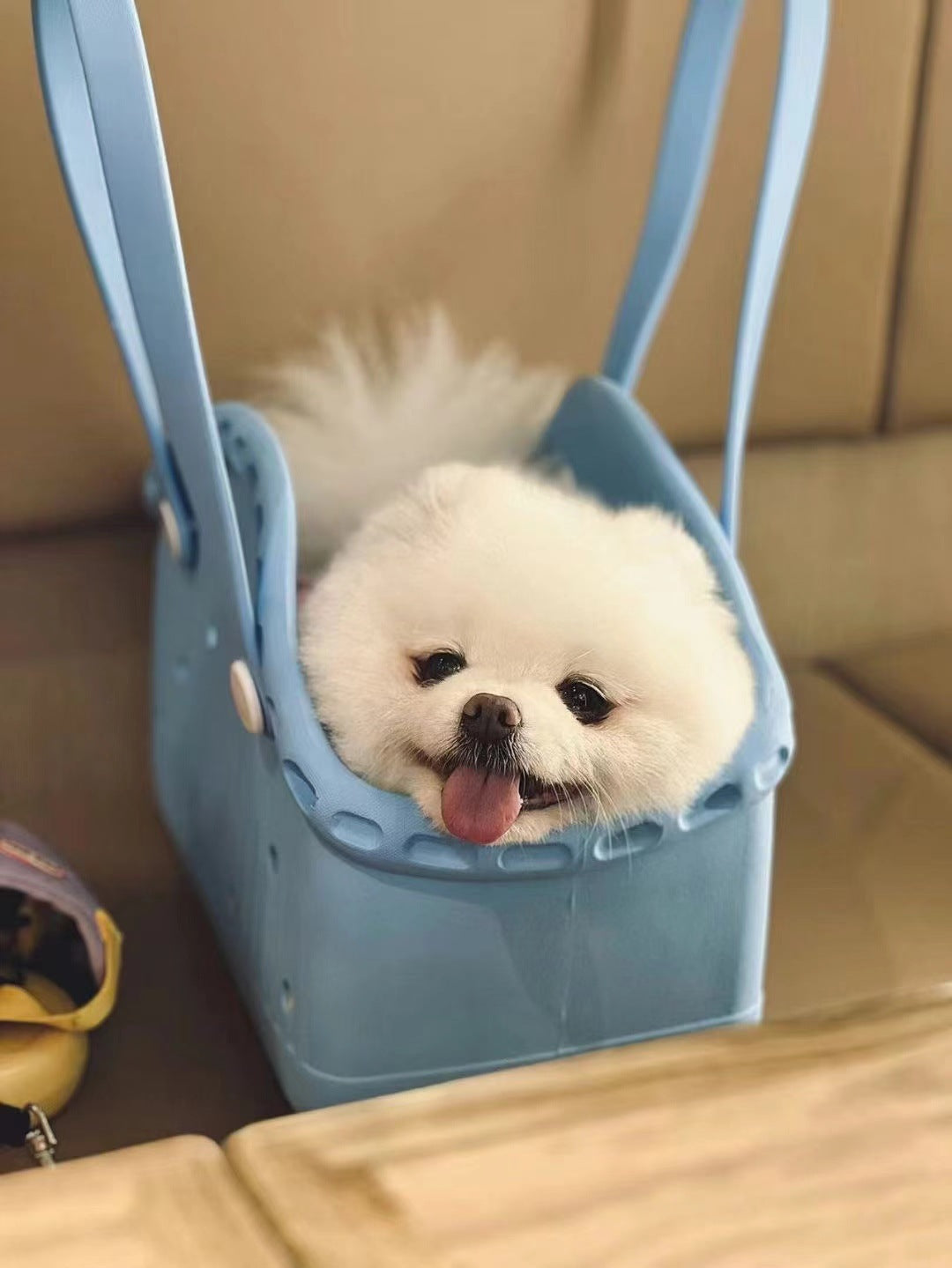 Blue Portable EVA Pet Handbag - DIY Custom Decoration Carrier for Small Pets, Beach, and Outdoor Use (Large Capacity) 5