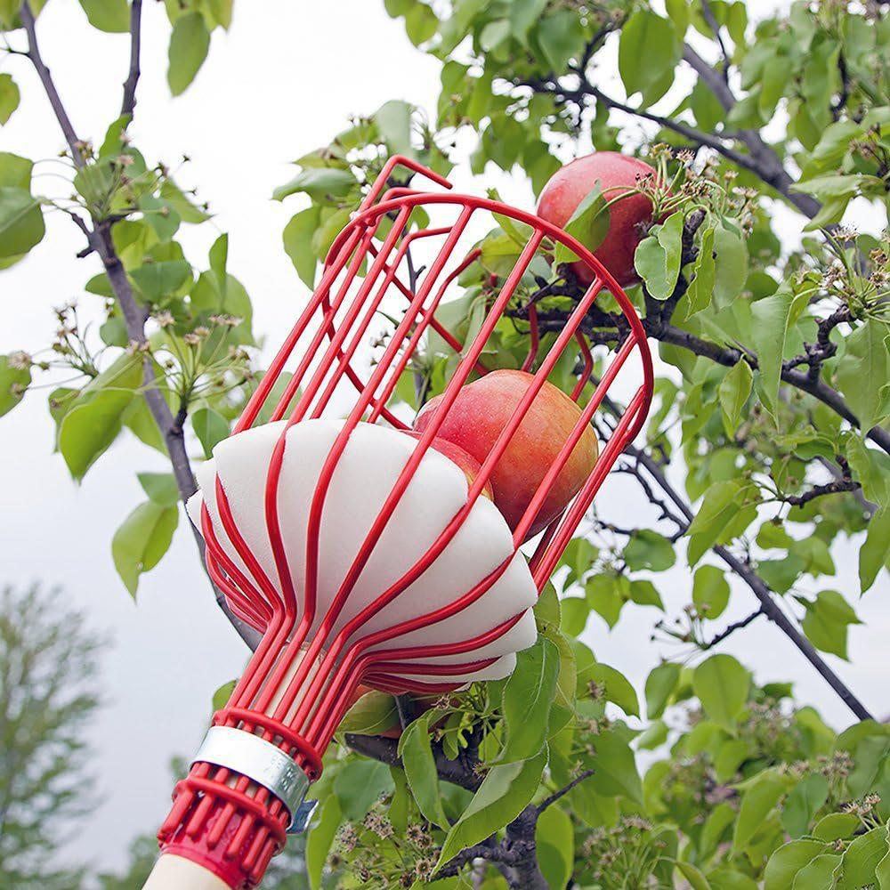 Fruit picking tool with telescopic pole - stainless steel fruit picking pole, high altitude tree fruit picking tool 2.4m 3