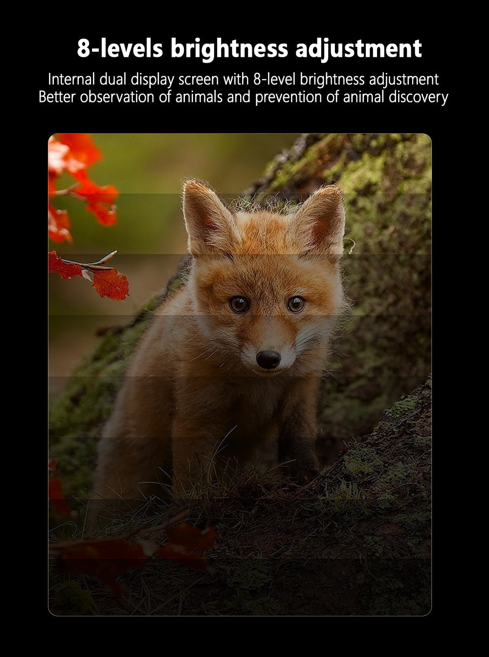 Red Professional HD Digital Night Vision Binoculars - 6X Optical Zoom, IR Illumination, Record 2.5K Video & 48MP Photos 12