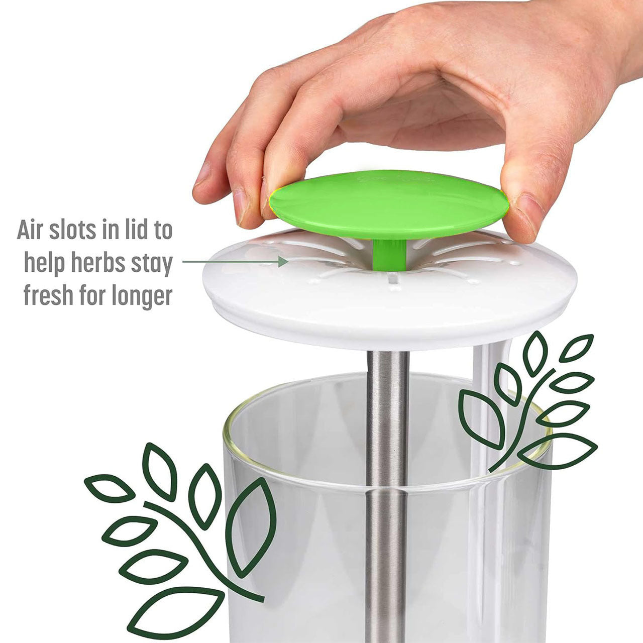 White Premium Herb Savor & Freshness Keeper - Extends Life of Herbs, Cilantro, Parsley & More 3