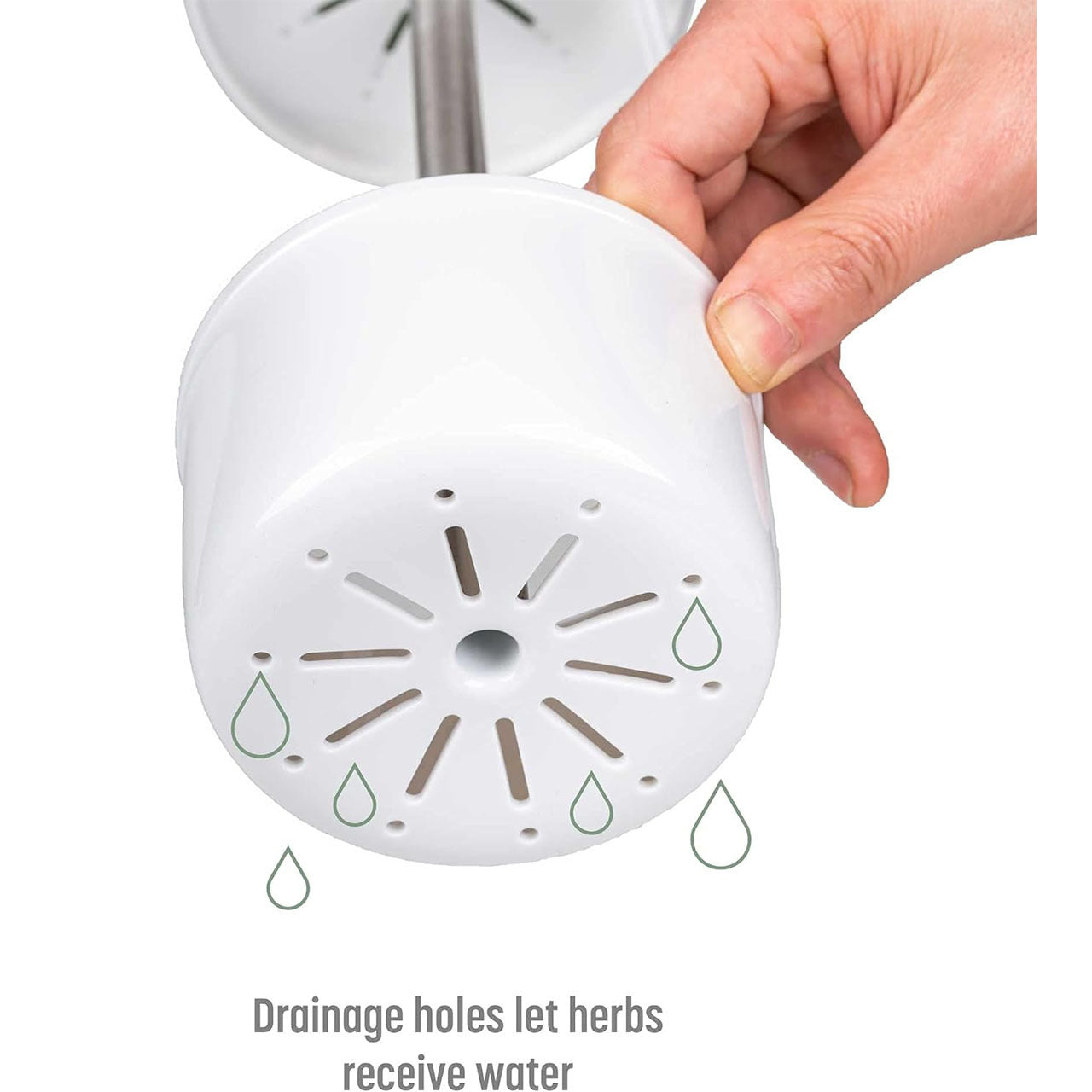 Green Premium Herb Savor & Freshness Keeper - Extends Life of Herbs, Cilantro, Parsley & More 4