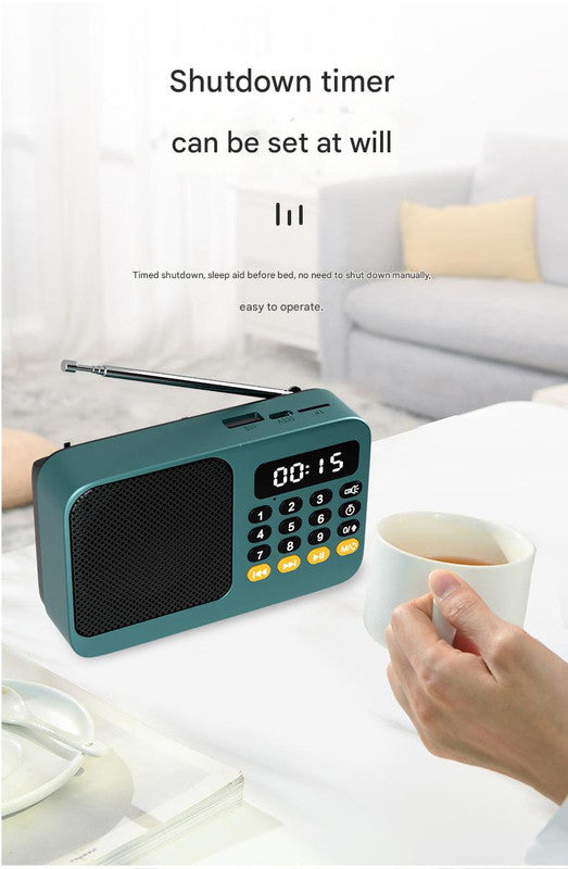 Portable Digital Music Player & FM Radio,4 Playback Modes, LED Flashlight(Blue) 6