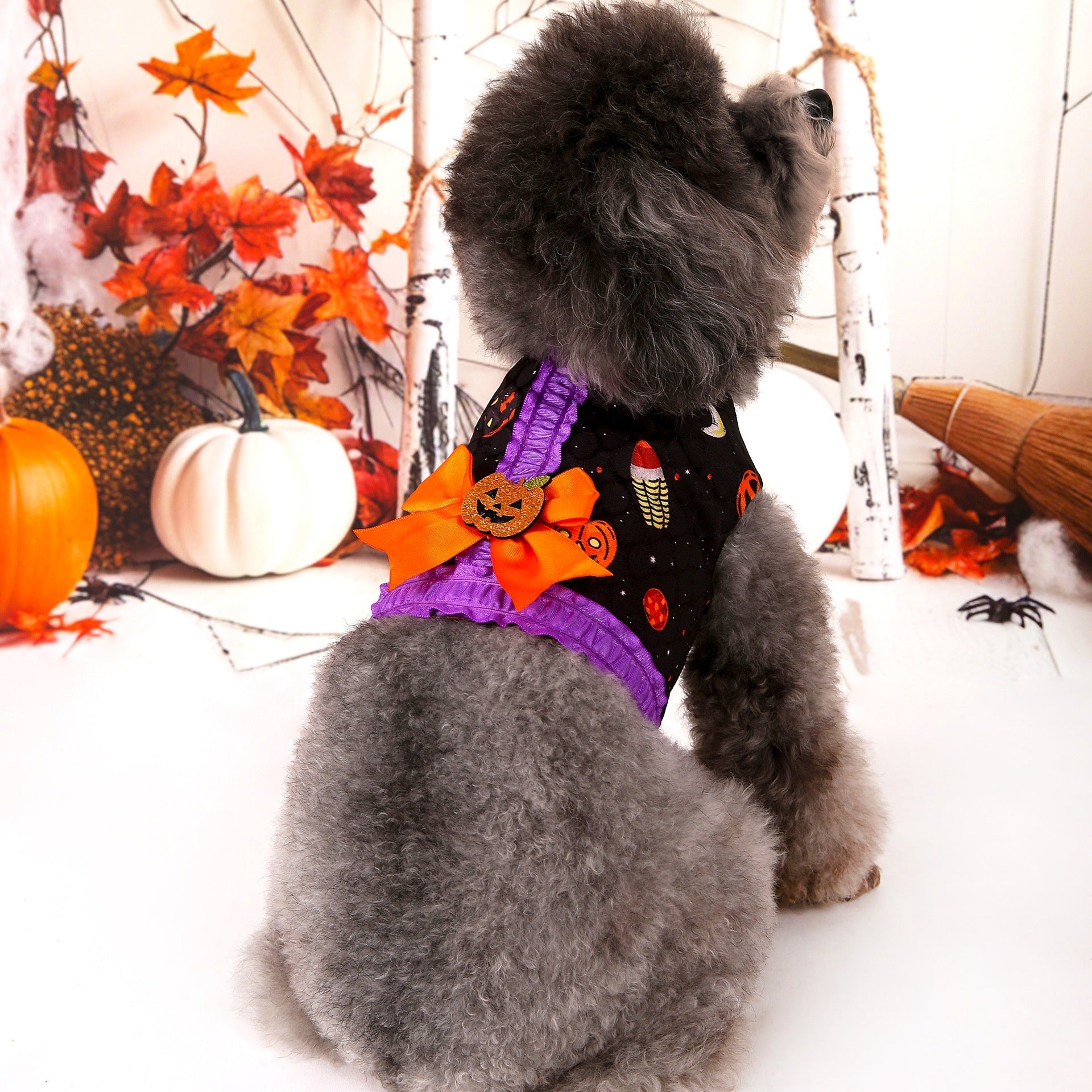 M Halloween Pumpkin Dog Harness Dress - Festive Costume Vest with Leash Ring for Small Dogs