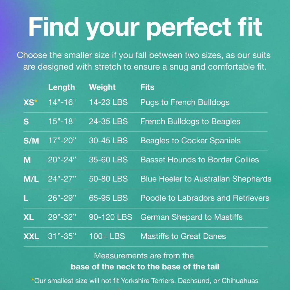 S/M Blue Premium Pet Physiological Suit - Comfortable & Breathable Bamboo Modal Recovery Suit 3