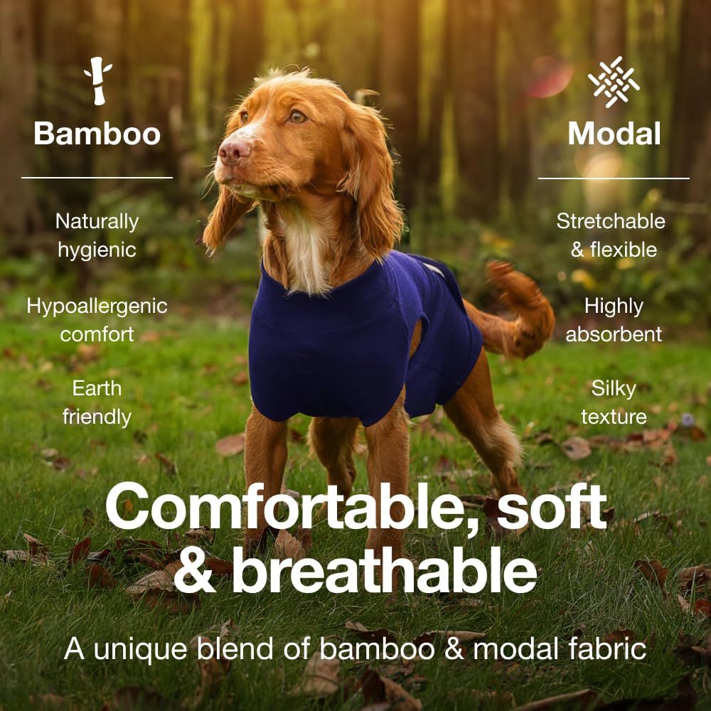 XL Blue Premium Pet Physiological Suit - Comfortable & Breathable Bamboo Modal Recovery Suit 4