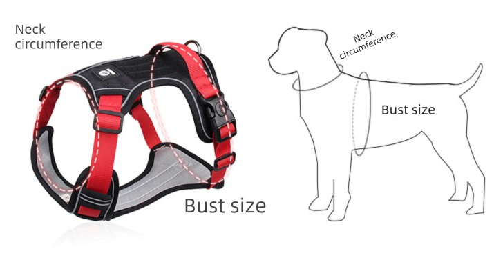 Blue S Adjustable No-Pull Dog Harness and Leash Set - Reflective & Padded Vest for Medium to Large Dogs 3