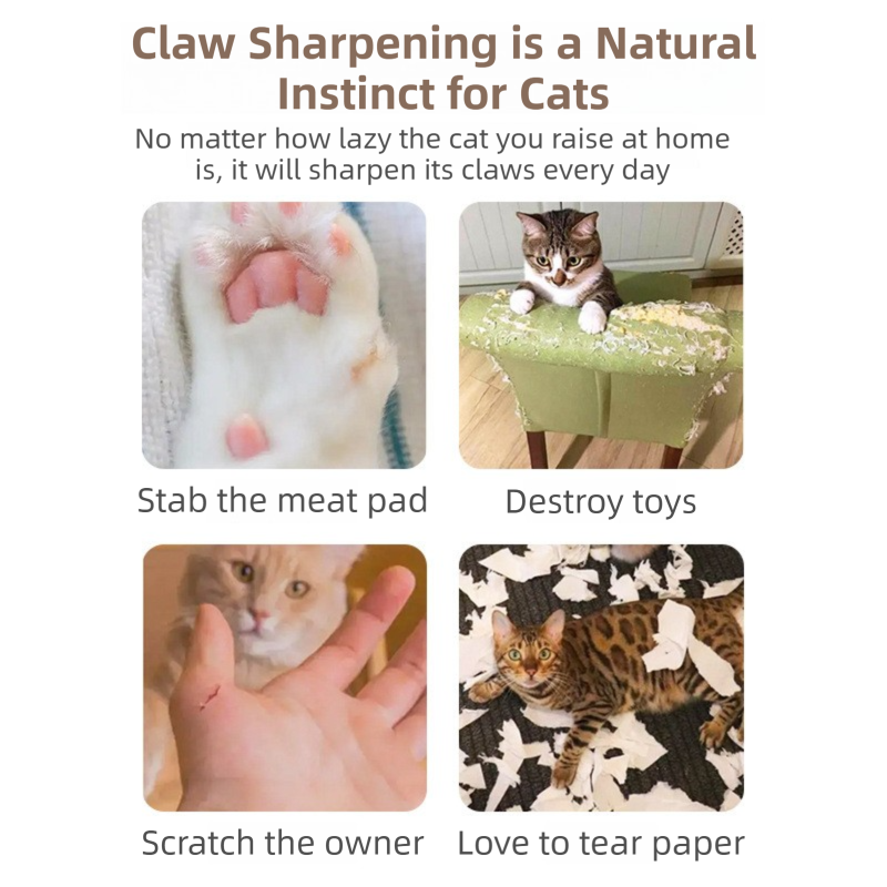 2-Pack Creative Accordion Cat Scratcher (Cat Head Design, 23x23x10CM) - Reversible Honeycomb Material Scratch Pad & Lounge Mat for Stress Relief 4