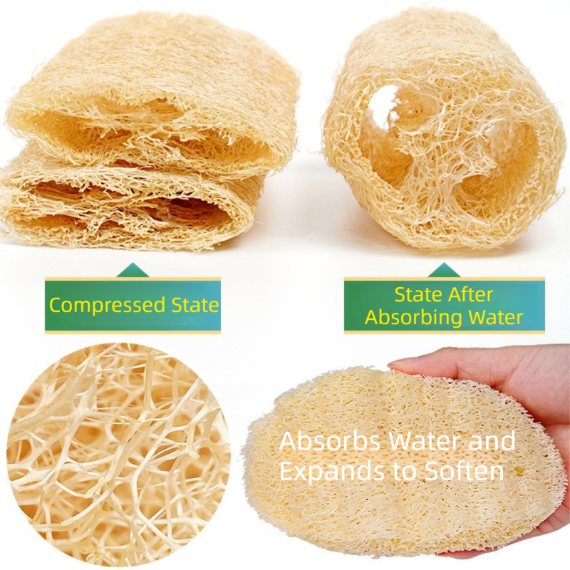 4-Pack Premium Soft Square Natural Loofah Segment Scrubber With Hanging Rope - Zero Waste Kitchen & Bath Loofah (Expands to >5cm Diameter & L 10CM) 3