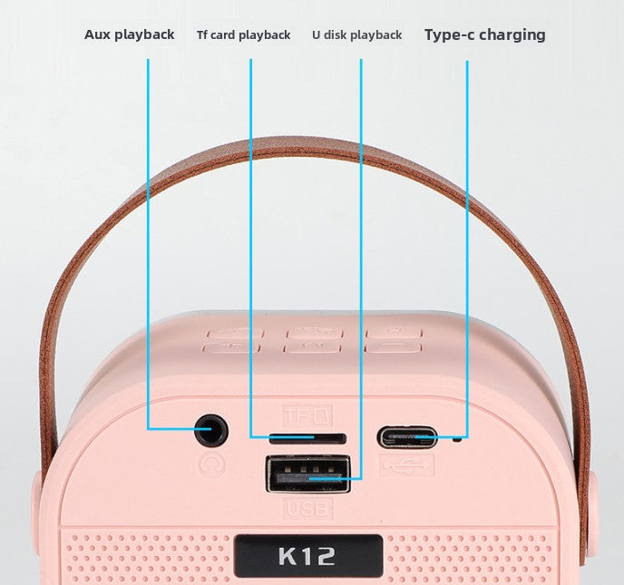 Pink double wheat Portable Mini Karaoke Machine with Wireless Microphone - Bluetooth Speaker for Kids & Adults 4