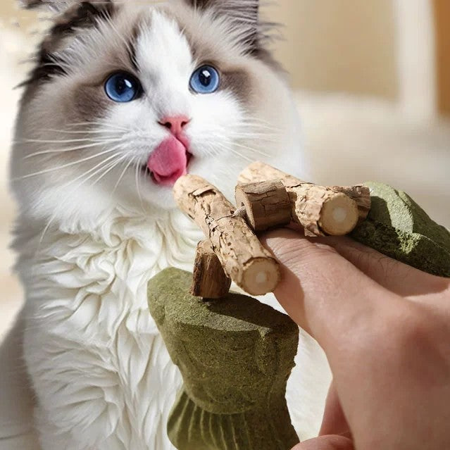 Green 5 Pack Cat Catnip Toys Fish Bone Shaped Silvervine Chew Sticks for Teeth Cleaning and Interactive Play 3