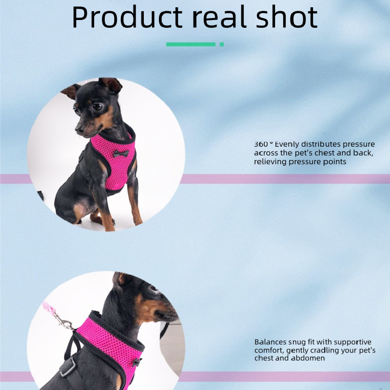 2-Pcs Red Adjustable Pet Harness with Leash – Breathable Mesh Design for Small Dogs, Cats, Chickens, Ducks & More | Anti-Escape, 360° Support, Lightweight & Comfortable in Australia(Size:XS) 4