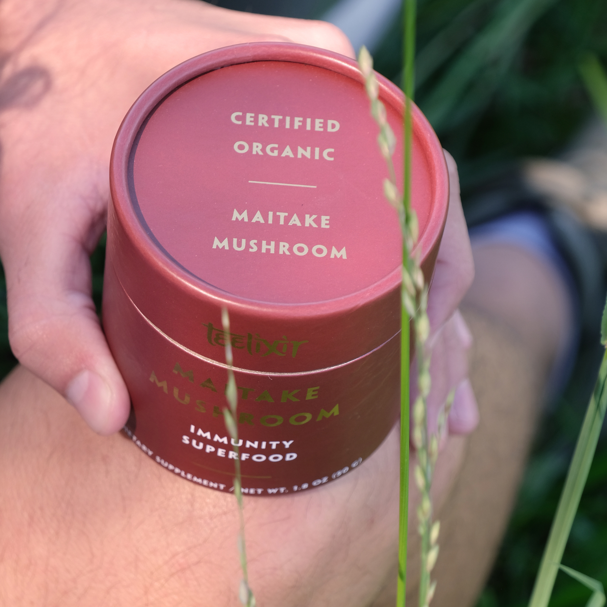 Teelixir Organic Maitake Mushroom 50g 5