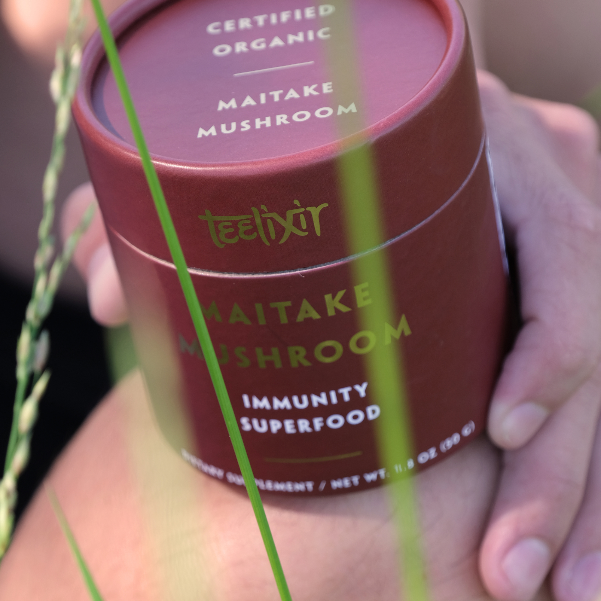 Teelixir Organic Maitake Mushroom 50g 6