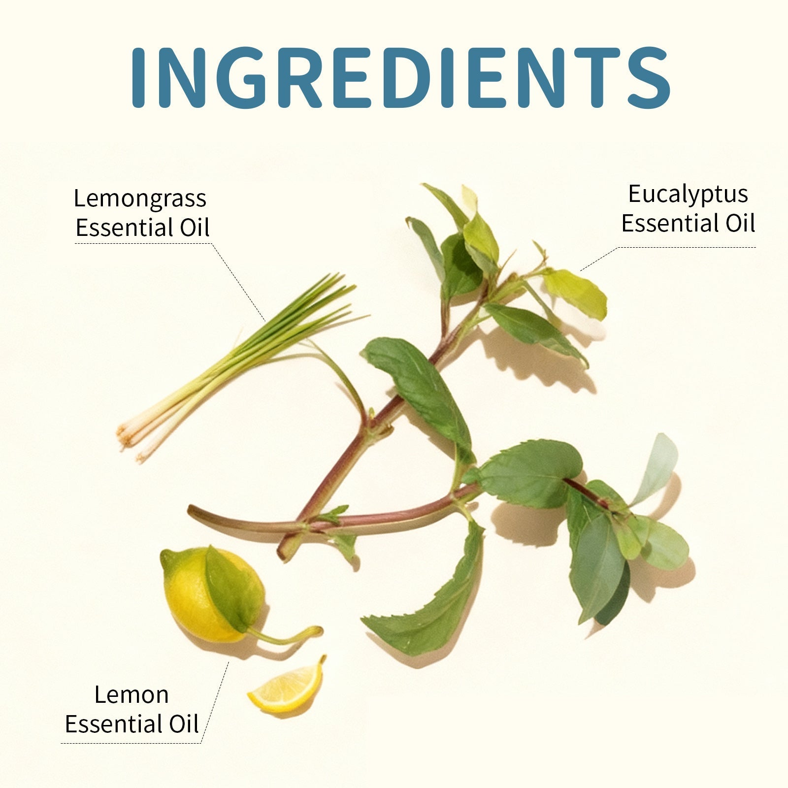 10 Pcs Mosquito Repellent Patch 5