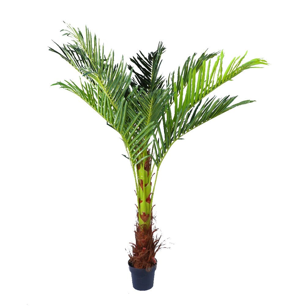 180cm Phoenix Palm - Artificial Plant, Home Decor Flora 1