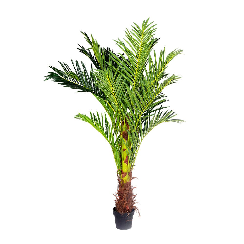 180cm Phoenix Palm - Artificial Plant, Home Decor Flora 2