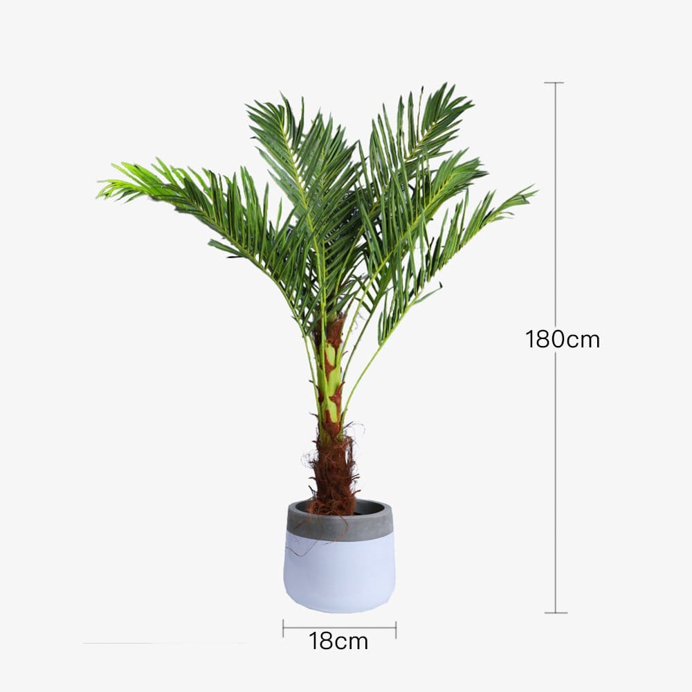 180cm Phoenix Palm - Artificial Plant, Home Decor Flora 4