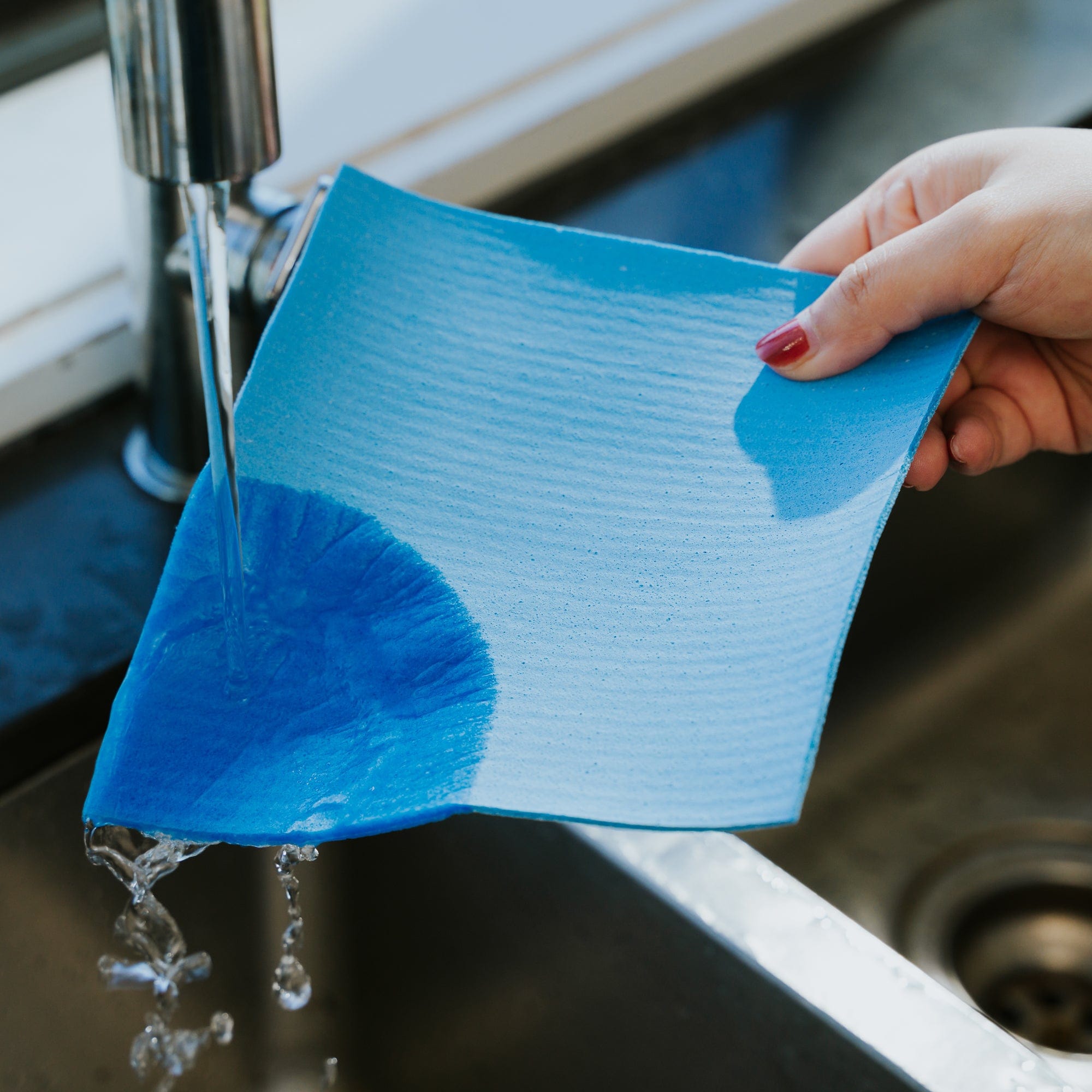 6PK Spiffy 15cm Antibacterial Cellulose Cloths 5