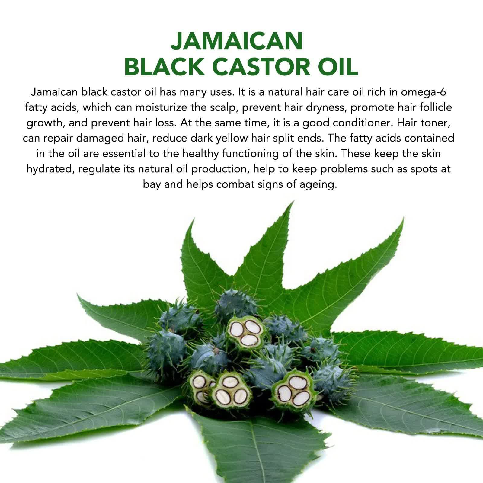 Black Castor Oil (2.02 fl oz), Jamaican Organic Regrowth Treatments 3