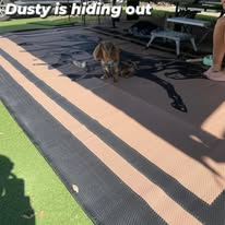 Horse 5m x 2.4m camping mat 3