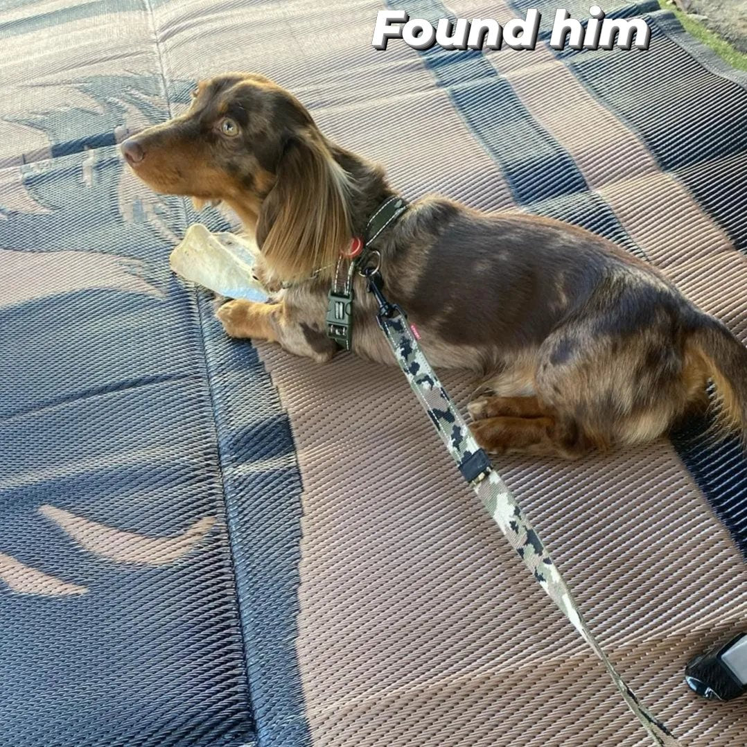 Horse 5m x 2.4m camping mat 4