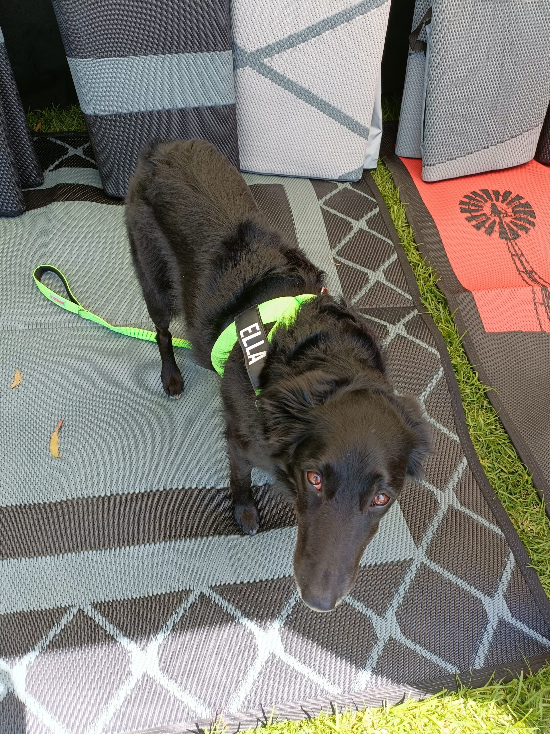 Alfresco 1.8m x 1.8m Recycled Poly Camping Mat 3