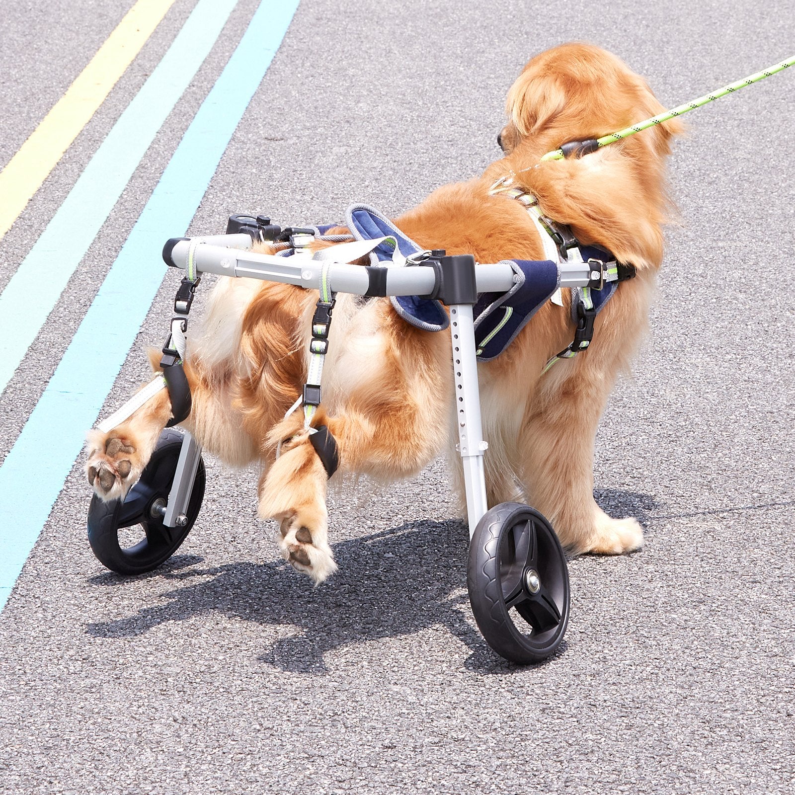VEVOR 2 Wheels Dog Wheelchair for Back Legs, Pet Wheelchair Lightweight & Adjustable Assisting in Healing,  Dog Cart/Wheelchair for Injured, Disabled, Paralysis, Hind Limb Weak Pet(M) 8