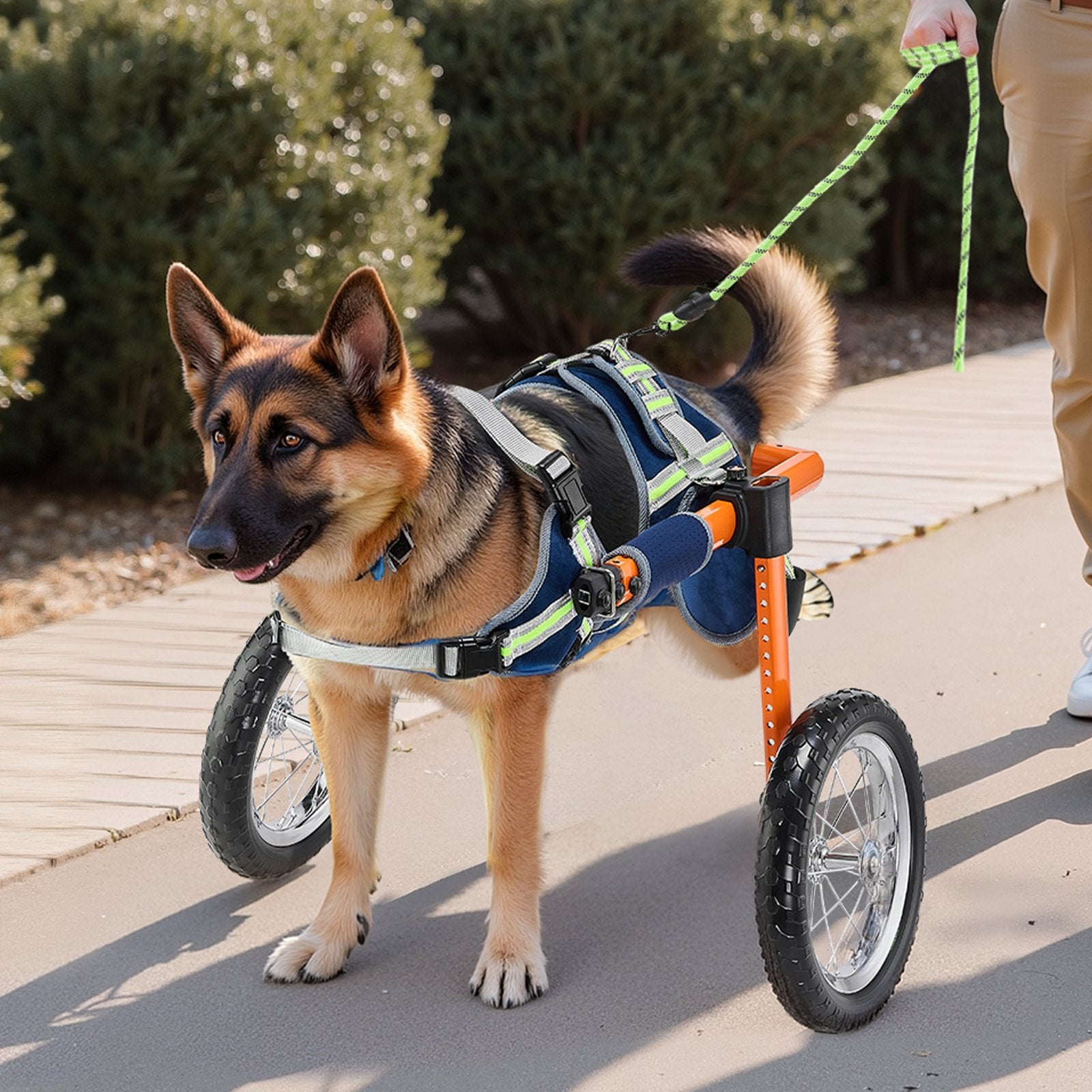 VEVOR Dog Wheelchair for Back Legs, Lightweight 2 Wheels Pet Wheelchair, Height, Width & Length Adjustable, Dog Cart with Shock-Absorbing Wheels, for Injured, Disabled Dogs 21.7-39.9 kg, Large 8