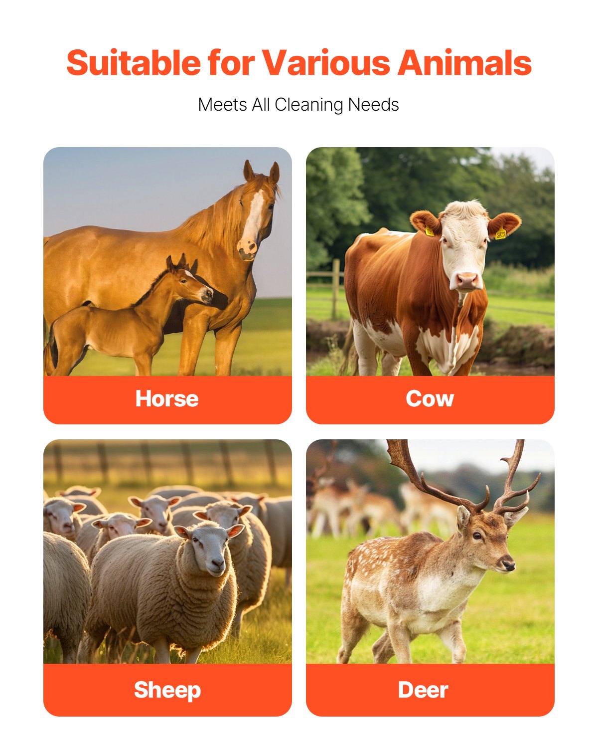 VEVOR Livestock Scratching Brush, Horse Brush with 2 Screws, 20  x 7.5 in Cow Scratcher, for Back Itch Relief & Keep Cleaning, Grooming & Scratching Post Brush for Horse, Pig, Cattle Supplies 6