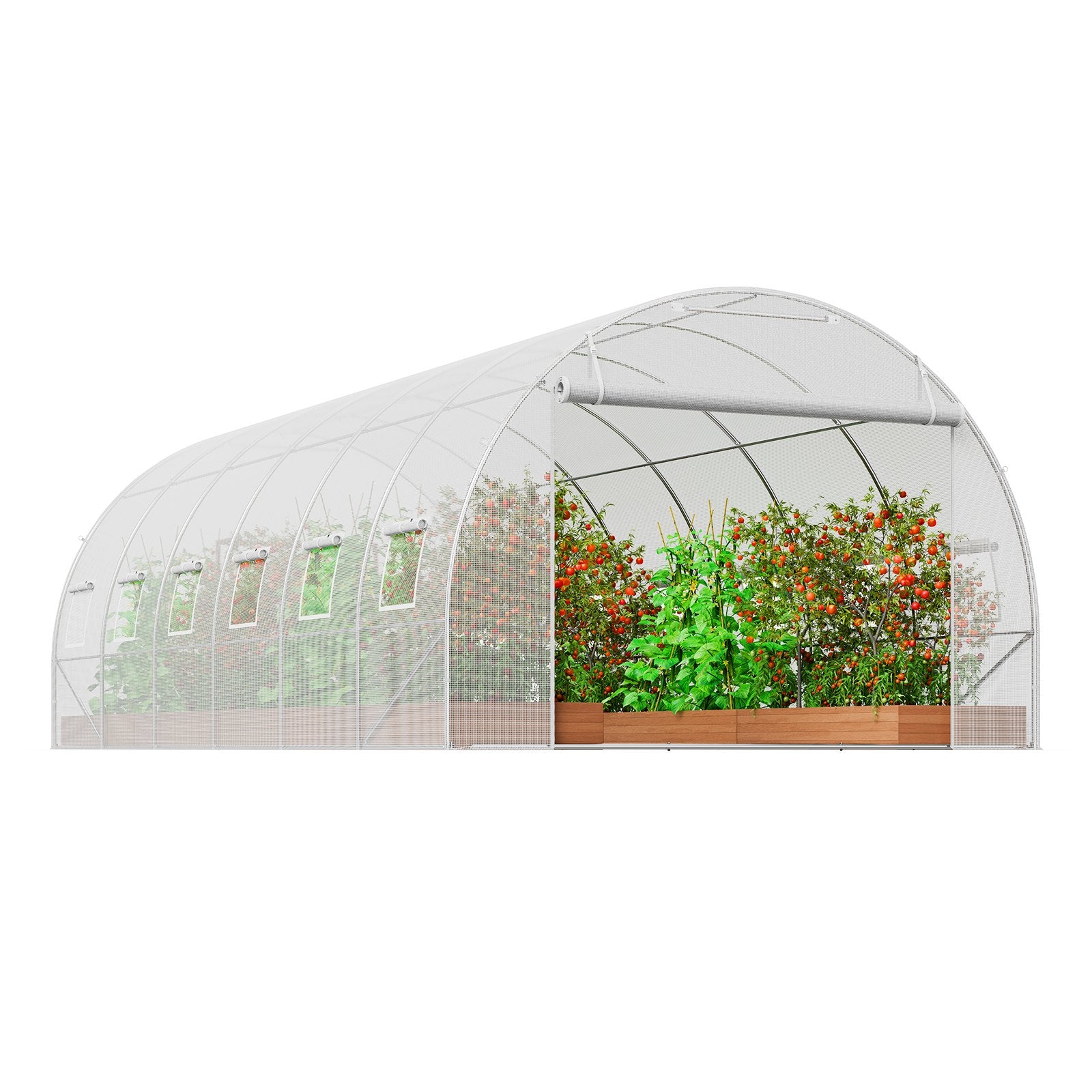 VEVOR Walk-in Tunnel Greenhouse, 19.4x9.7x6.5 ft Hoop House Greenhouse Tunnel, Plant Hot House with Galvanized Steel Frame, White PE Cover, Roll-up Zipper Door and 12 Windows for Outdoor 9
