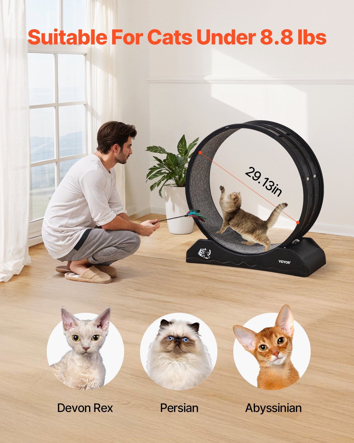 VEVOR Cat Exercise Wheel, 31.5 in, Large Cat Running Wheel with Secure Brake & Carpeted Runway, Quiet Operation Cat Treadmill, Indoor Cats Exerciser Wheel for Pets Weight Loss & Health Black 4