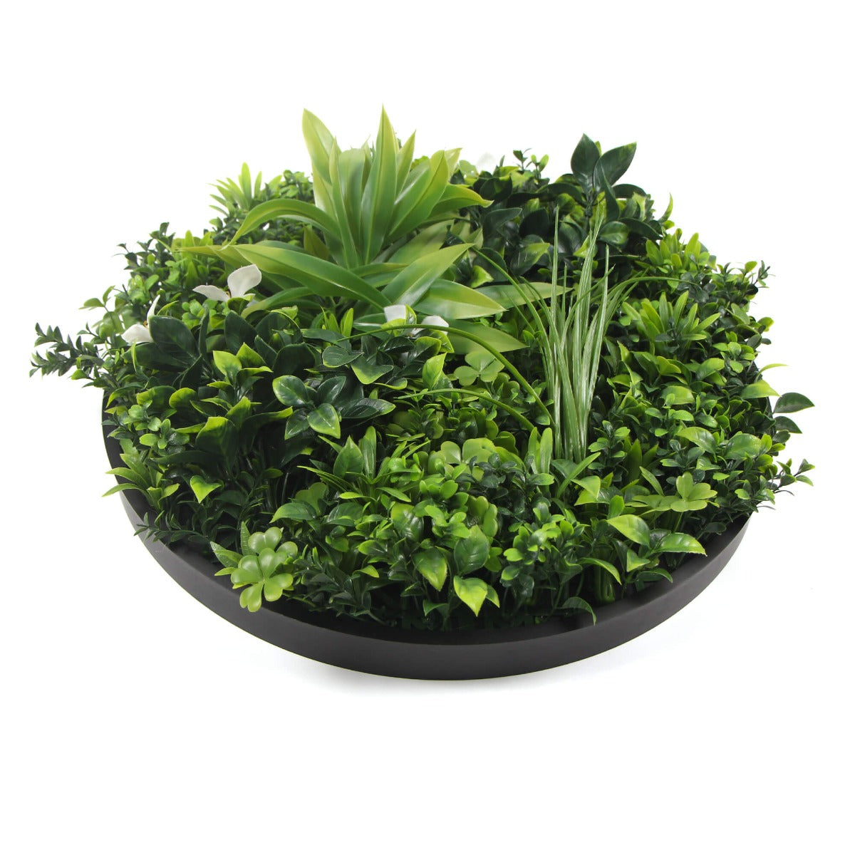 Flowering White Artificial Green Wall Disc UV Resistant 50cm (Black Frame) 5