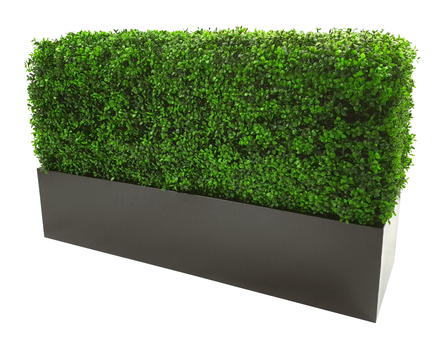 Black Metal Planter Medium 3