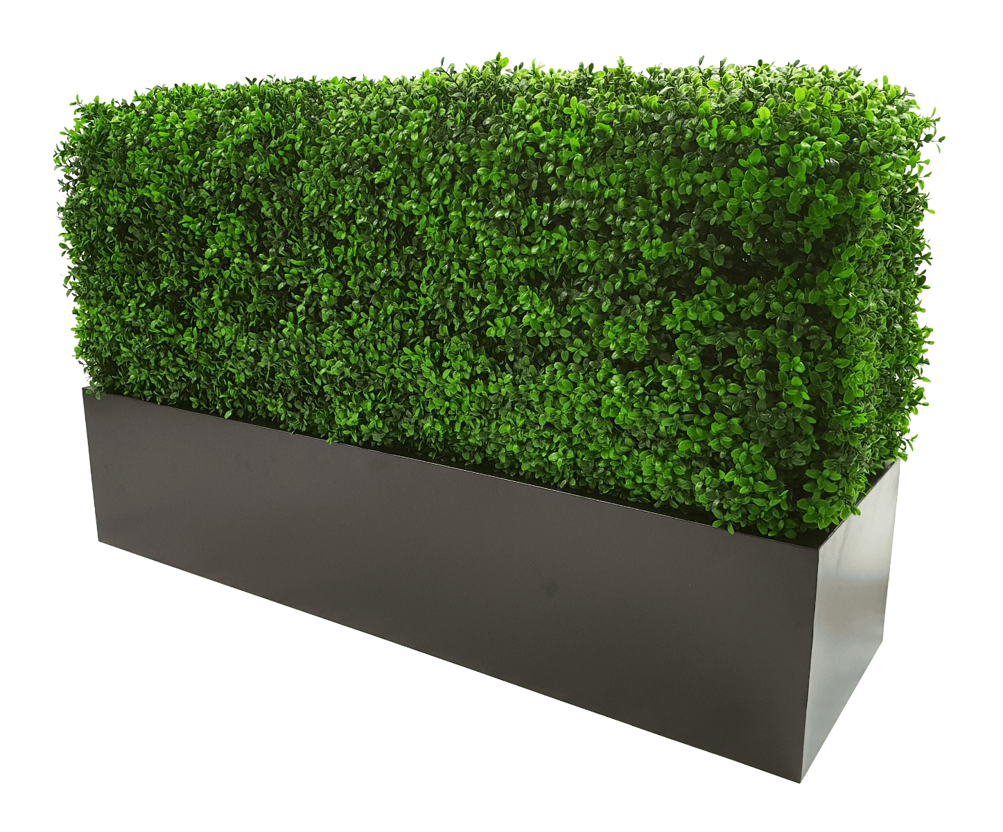 Deluxe Portable Buxus (Bright) UV Resistant 100cm Long x 50cm High x 25cm Wide 3