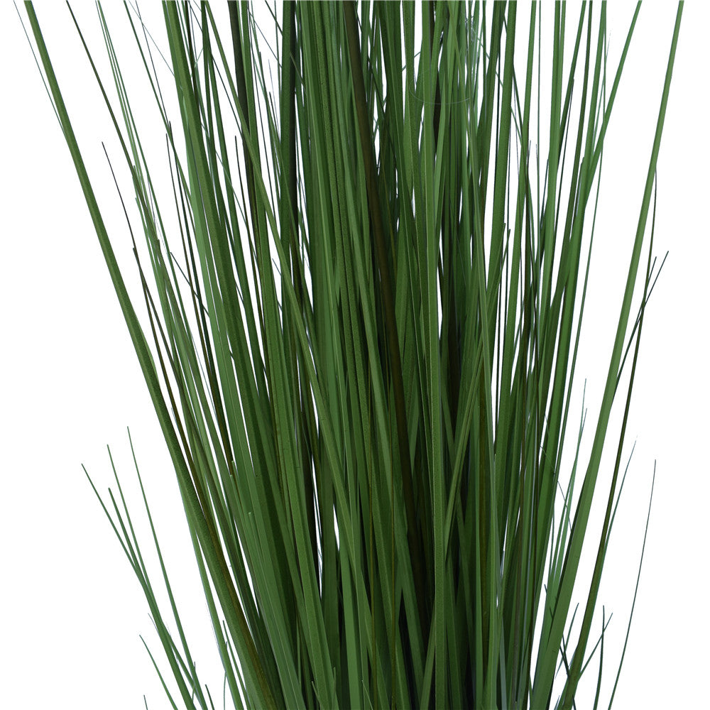 Flowering Native Grass 120 cm 5